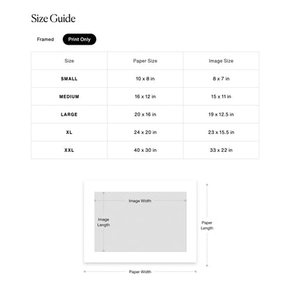Mickey Mantle Helmet Fling Framed Print